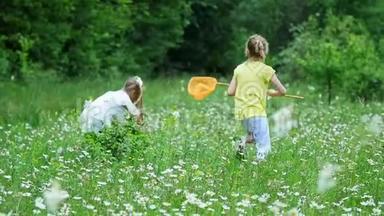 在绿绿的，洋甘菊的草坪上，小朋友拿着网到处跑，尝试捉蝴蝶，蚱蜢.. 他们跑，跳